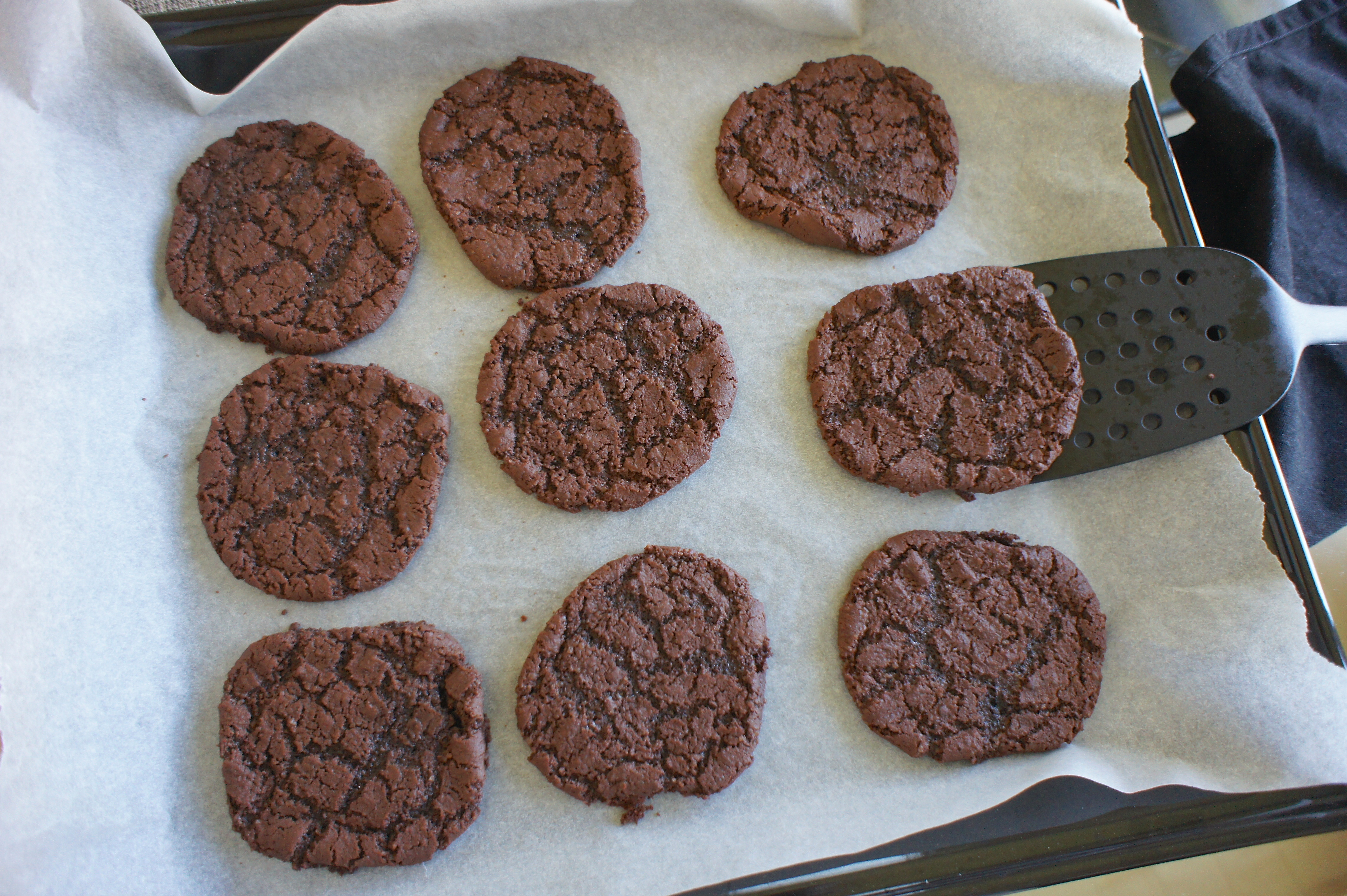 Chocolate sugar cookies on a tray with baking sheets